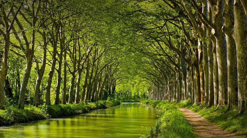 Gite La Chartreuse Du Canal Du Midi Toulouse Exteriör bild